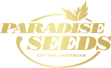 Paradise Seeds