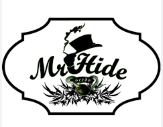 Mr. Hide Seeds