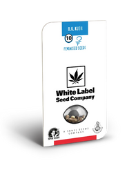 Semi di OG Kush Femminizzati della White Label