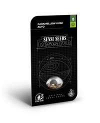 Semi di Caramellow Kush Autofiorenti