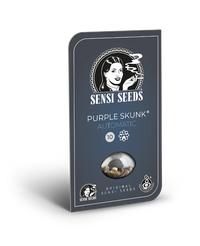 Semi di Purple Skunk Autofiorenti