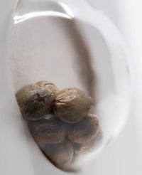 Semi di Strawberry Kush Femminizzati della White Label