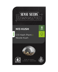 Semi di N13 Kush Femminizzati