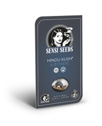 Semi di Hindu Kush Autofiorenti