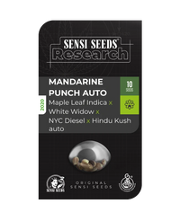 Semi di Mandarin Punch Autofiorenti