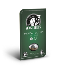 Semi di Mexican Sativa Regolari