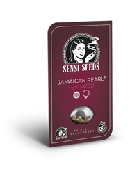 Semi di Jamaican Pearl Femminizzati
