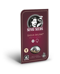Semi di Shiva Skunk Femminizzati