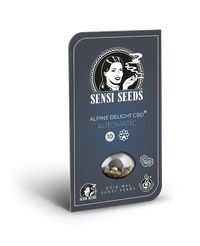 Semi di Alpine Delight CBD Automatic