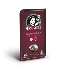 Semi di Silver Haze Femminizzati