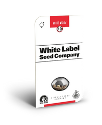 Semi di White Widow Regolari della White Label