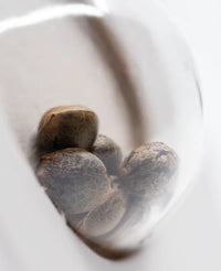 Semi di Cali Orange Bud Regolari della White Label