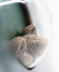 Semi di Maple Leaf Indica Regolari
