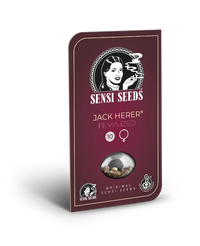 Semi di Jack Herer® Femminizzati