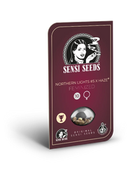 Semi di Northern Lights #5 x Haze Femminizzati