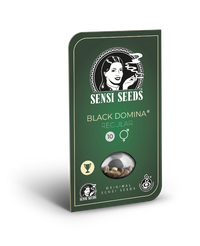 Semi di Black Domina Regolari