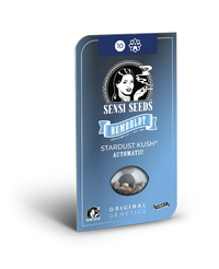 Semi di Stardust Kush Autofiorenti