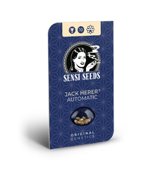 Semi di Jack Herer Autofiorenti