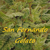 San Fernando Gelato