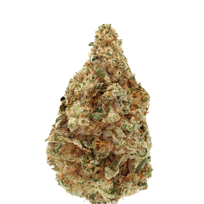 Charlotte's Dream CBD Autofiorenti
