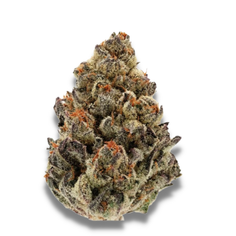 Bruce Banner