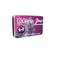 Cherry Zoap Autoflower