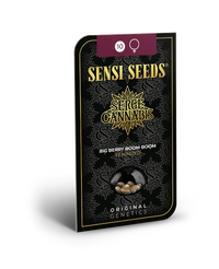Semi di Big Berry Boom Boom Femminizzati