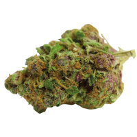 Double xl Red Banana berry