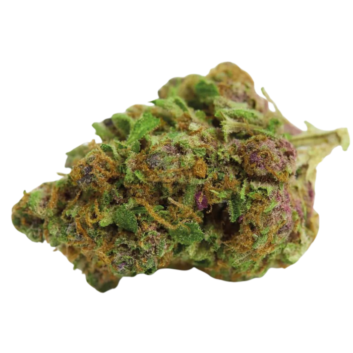 Double xl Red Banana berry