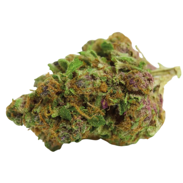 Double xl Red Banana berry