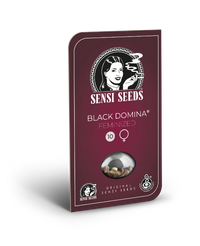 Semi di Black Domina Femminizzati
