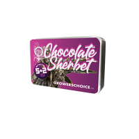 Chocolate Sherbet