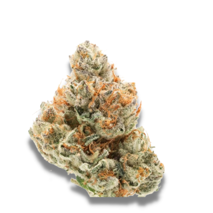 Chocolate Sherbet