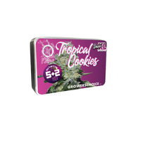 Double xl Tropical Cookies