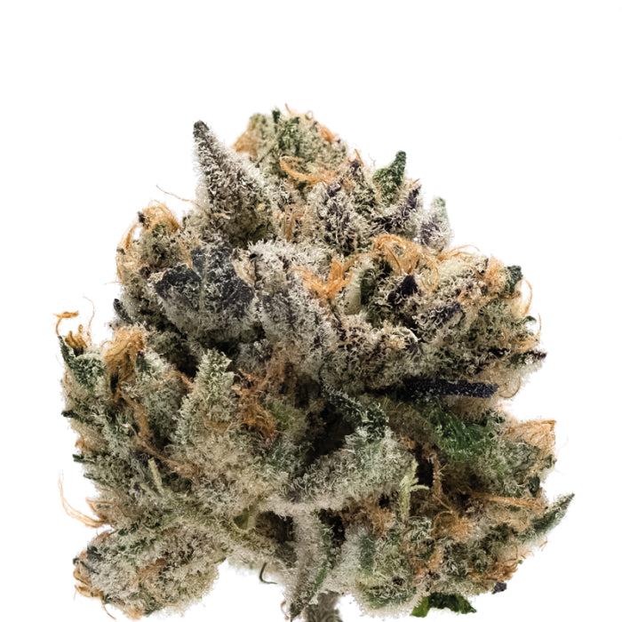 Double xl Tropical Cookies