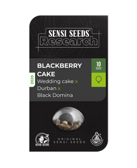 Semi di Blackberry Cake Femminizzati