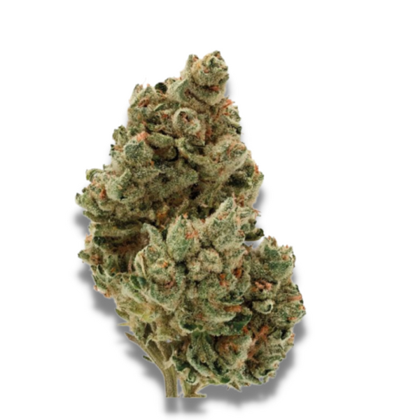 Frosty Gelato