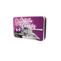 Gorilla Cookies Autofiorenti