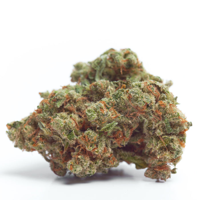 Gorilla Cookies Autofiorenti