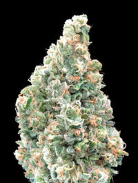 Cherry Pie Fast