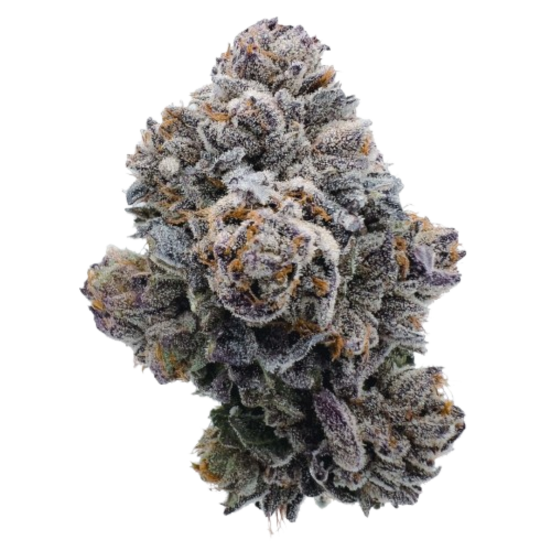 Pink GlitterBomb