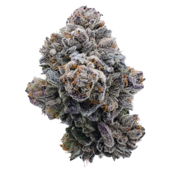 Pink GlitterBomb