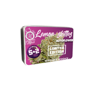 Lemon zkittlez autoflower limited edition