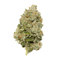 Lemon zkittlez autoflower limited edition