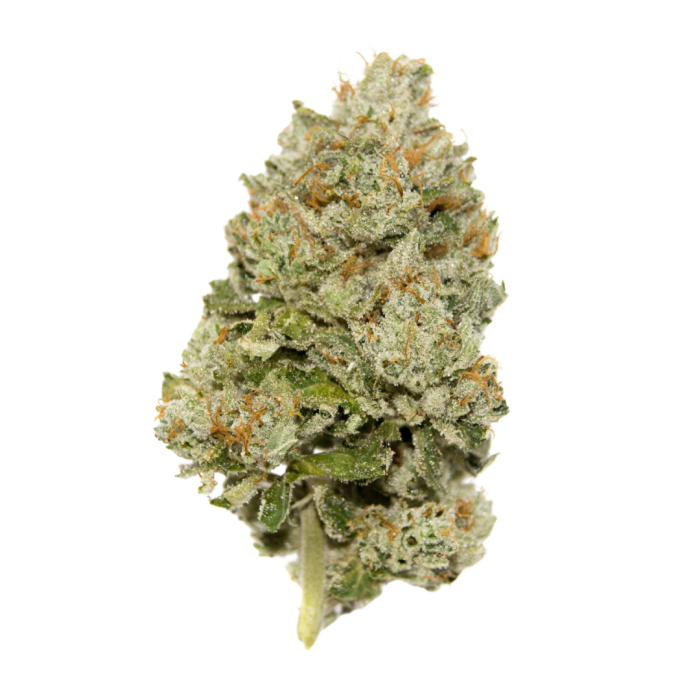 Lemon zkittlez autoflower limited edition