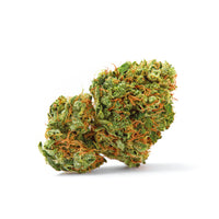 Grapefruit x Bubblegum Autofiorenti