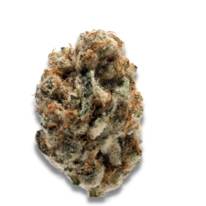 KO Kush