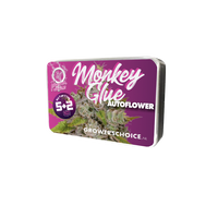 Monkey Glue autofiorenti
