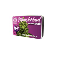 Monsterbud Autofiorente