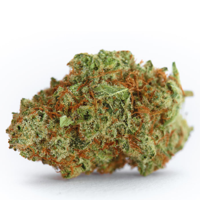 Monsterbud Autofiorente
